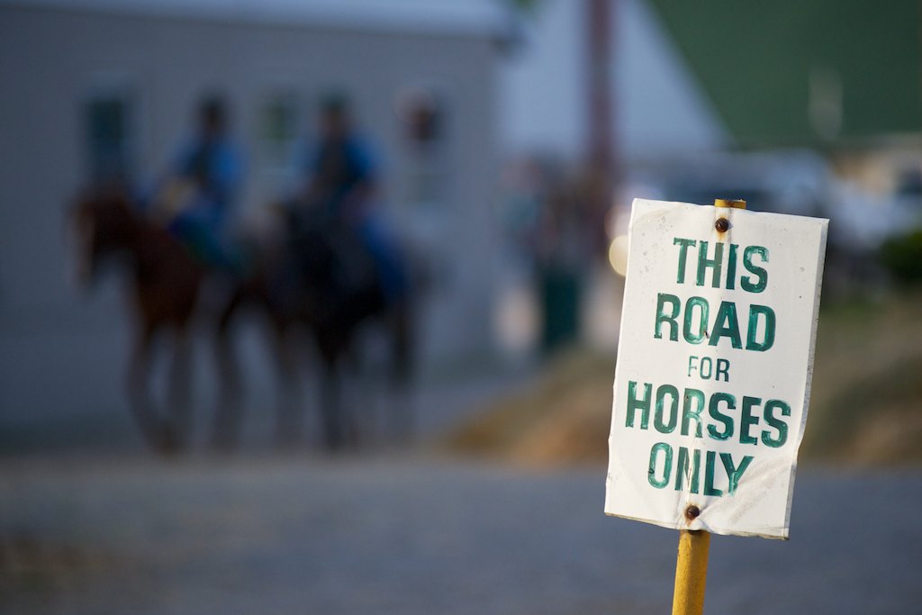 This Road For Horses Only